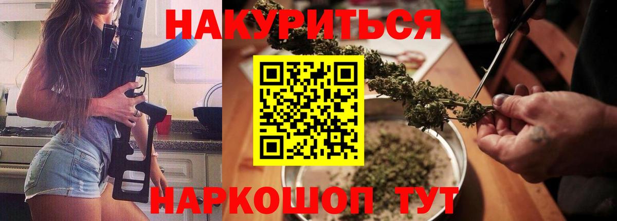 Конопля сатива Кушва